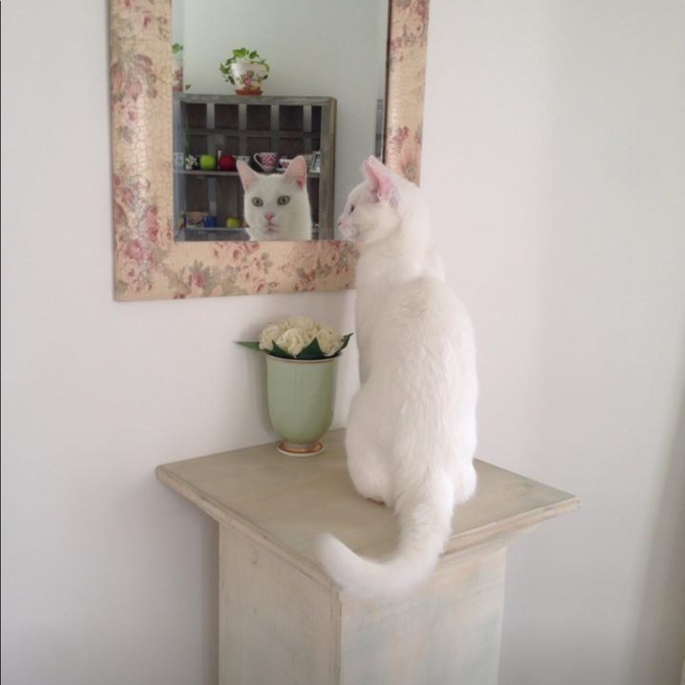 Meet your Posher, Vickie